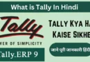 ally-Kya-Hai-Kaise-Sikhe